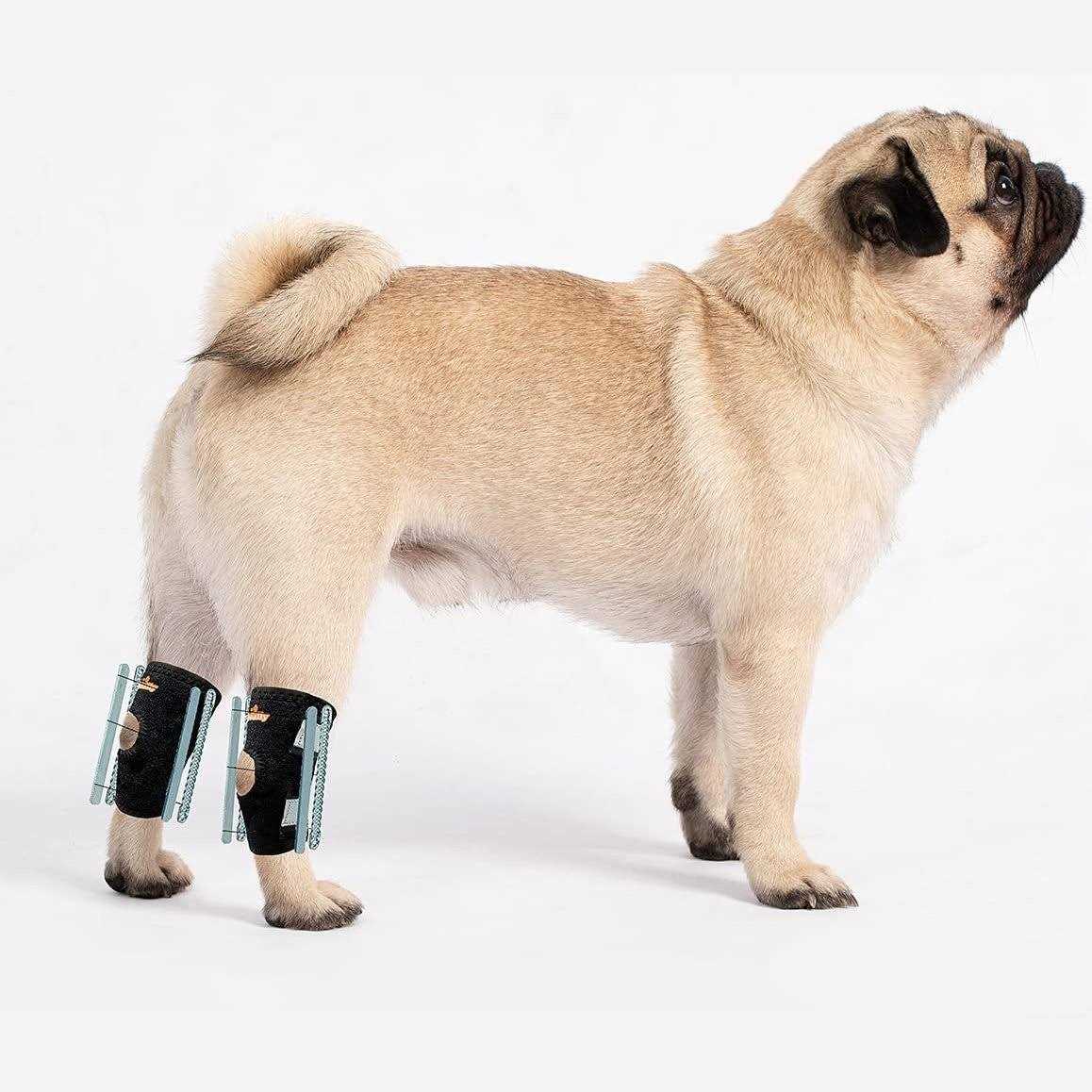 Short Rear Leg Support Small Dog Splint Braces Y4254