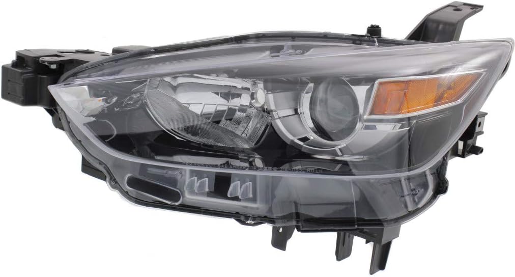 Headlight Assembly Pair Halogen R10767